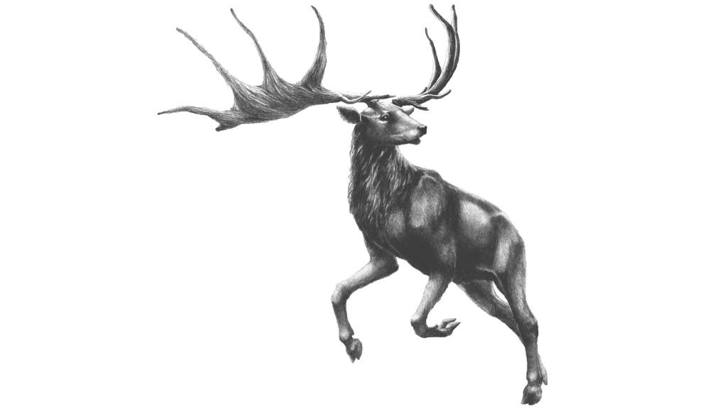 Megaloceros giganteus e il dramma&nbsp;esistenziale